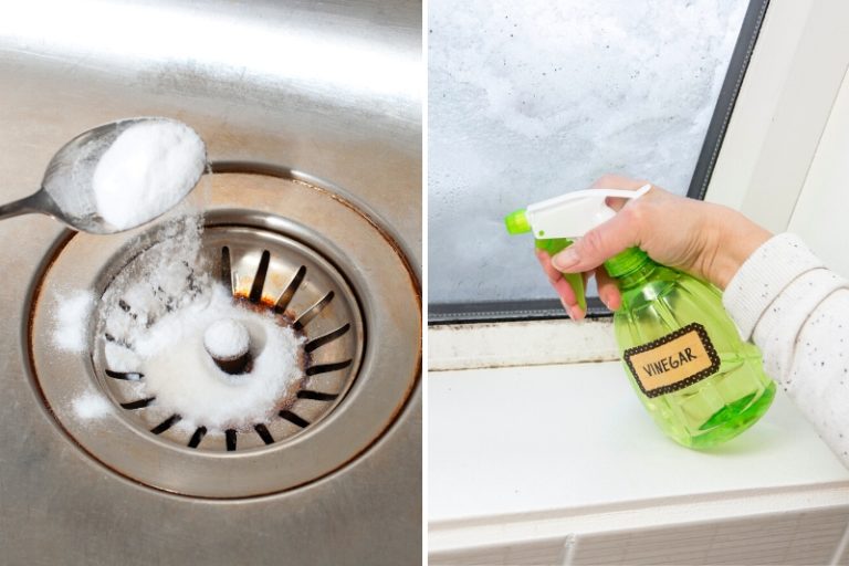 Citric Acid vs. Vinegar for Cleaning