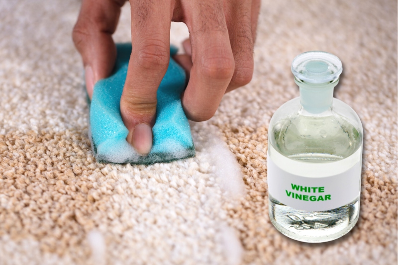 clean carpet with white vinegar