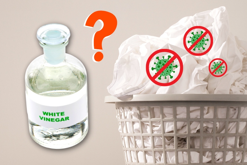 does vinegar kill bacteria on clothes