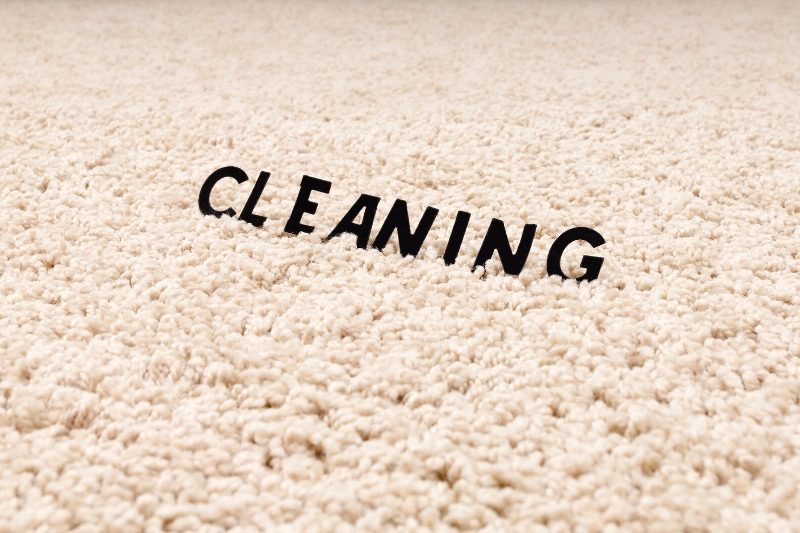 rug cleaning