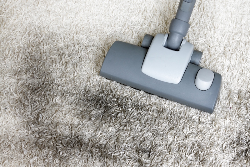 vacuum dirty rug
