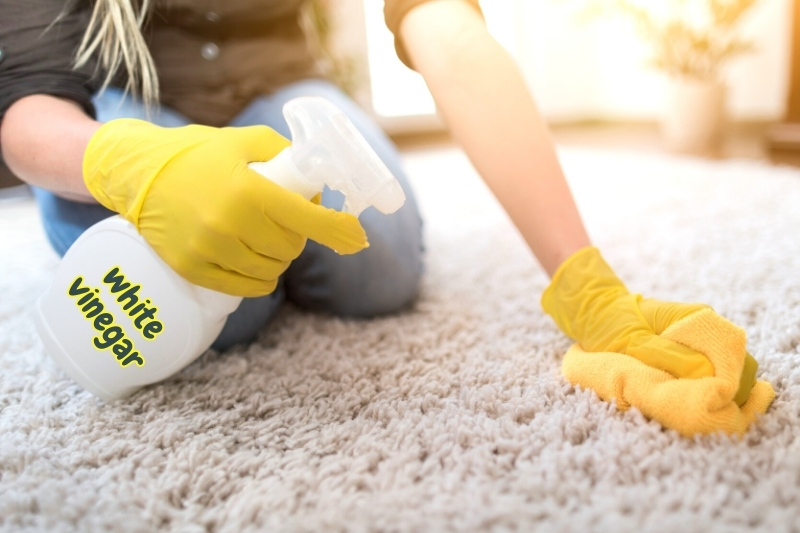 vinegar on carpet