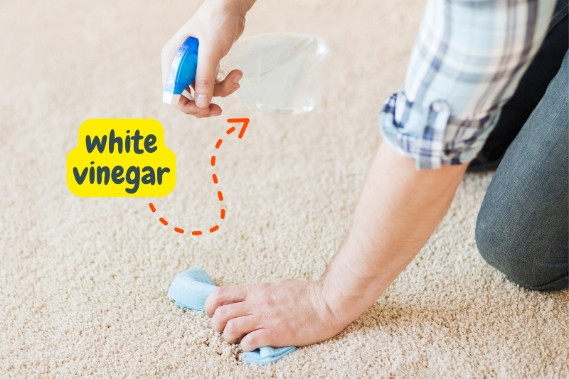 white vinegar on carpet