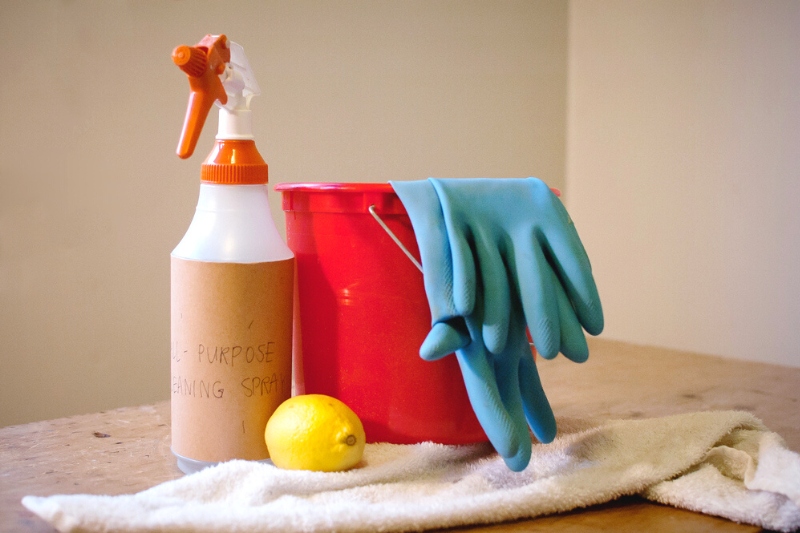 DIY All-Purpose Spray Cleaner