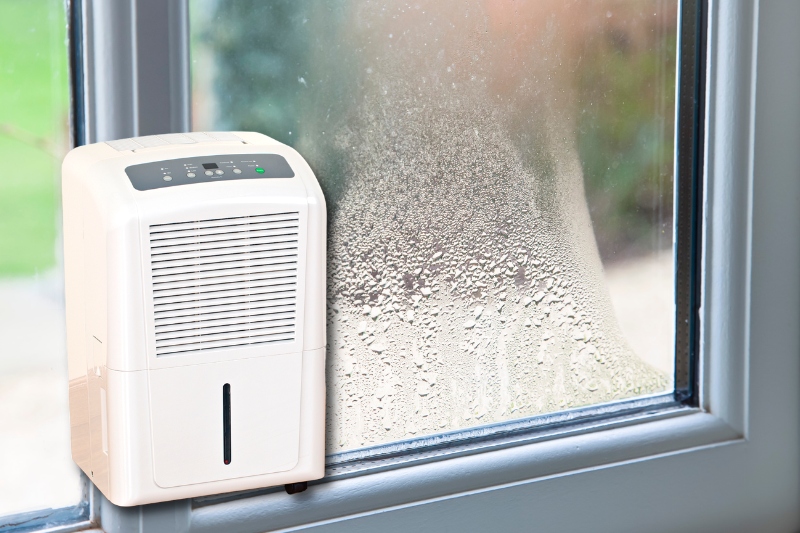 clean double glazed window with dehumidifier