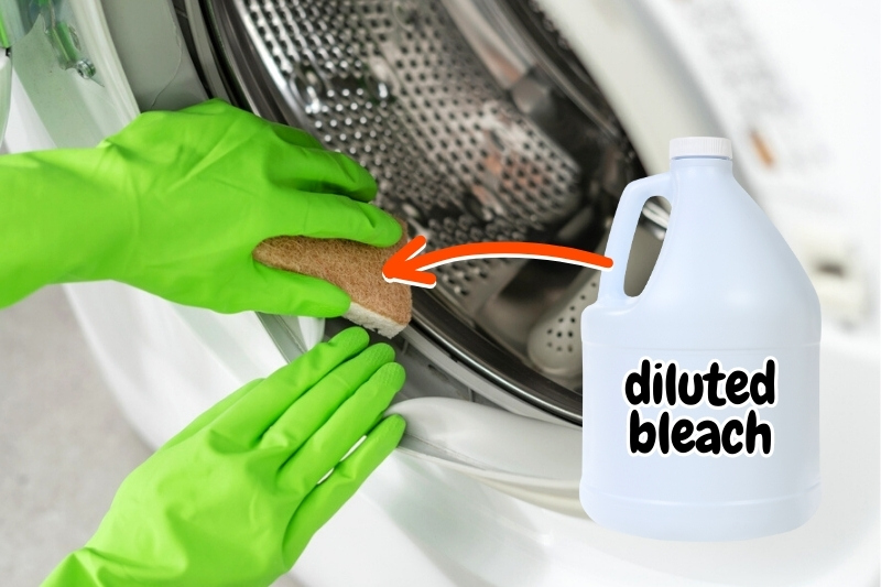 clean washing machine door rubber with diluted bleach