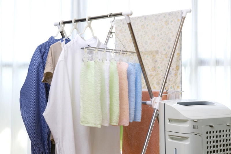 dehumidifier to dry clothes indoors