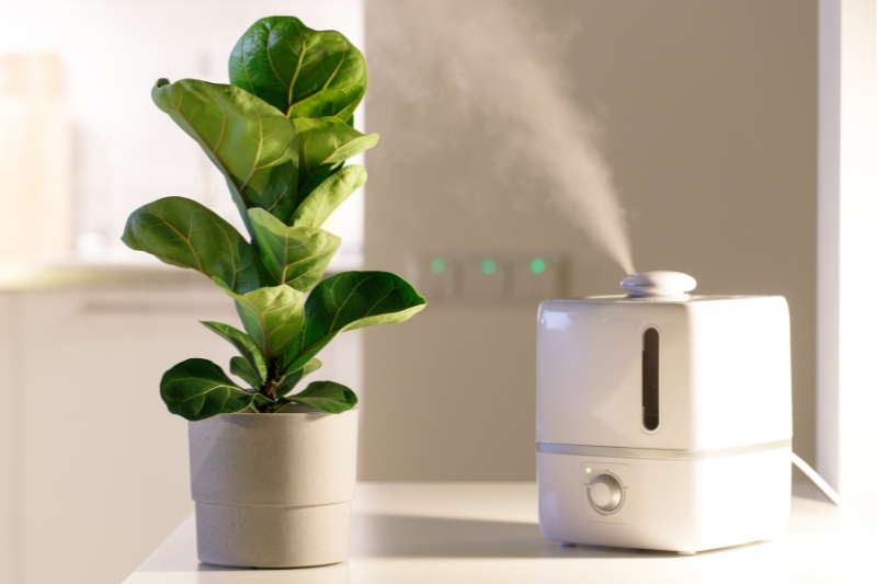 home humidifier