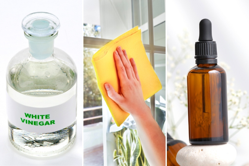 white vinegar and essential oil as glass cleaner
