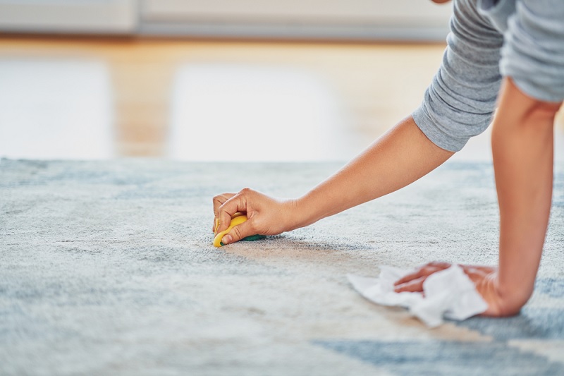 Cleaning a carpet