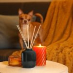 Dog and reed diffuser