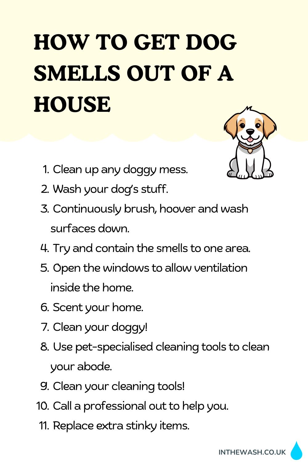 How to Get Dog Smells Out of a House