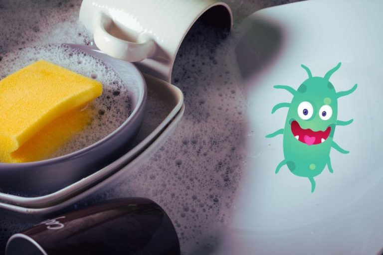 Does Washing Up Liquid Kill Bacteria?