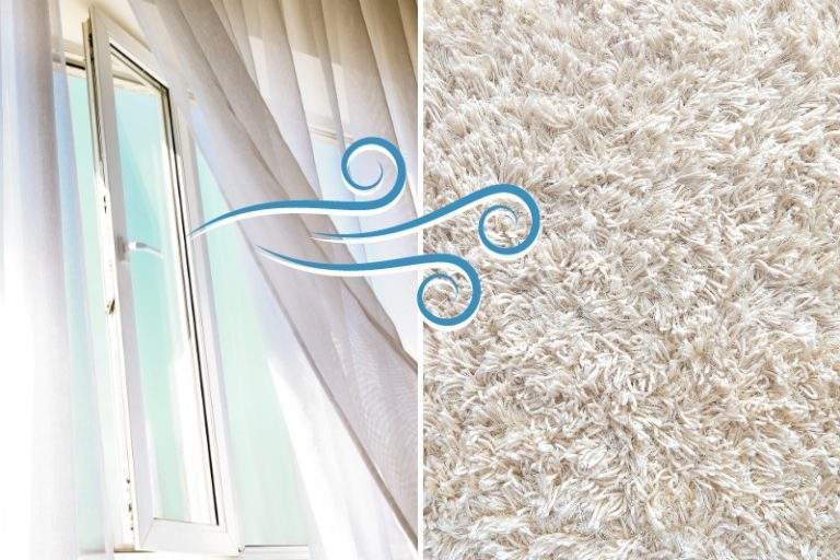 Damp Smelling Carpet Causes and Solutions