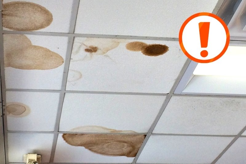 brown ceiling stain