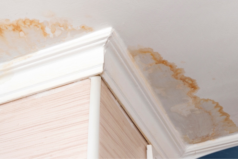 brown ceiling stains