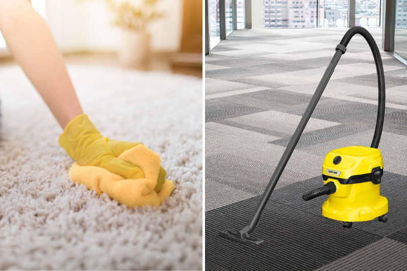 How to Dry a Wet Carpet in 5 Simple Steps + FAQS