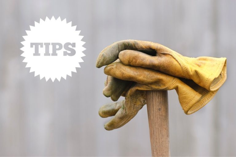 How to Clean Leather Gloves