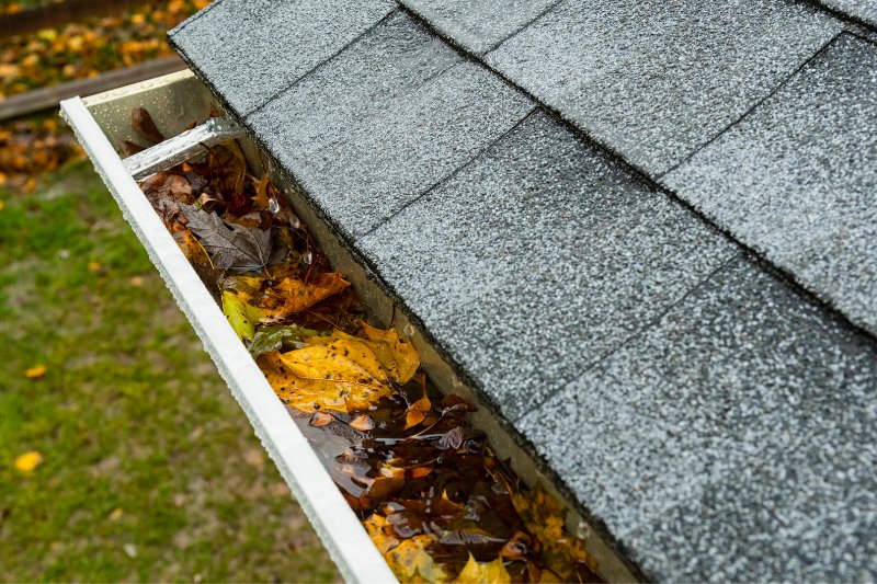 gutter clogged with leaves