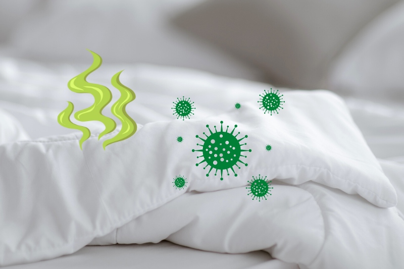 smelly blanket with bacteria