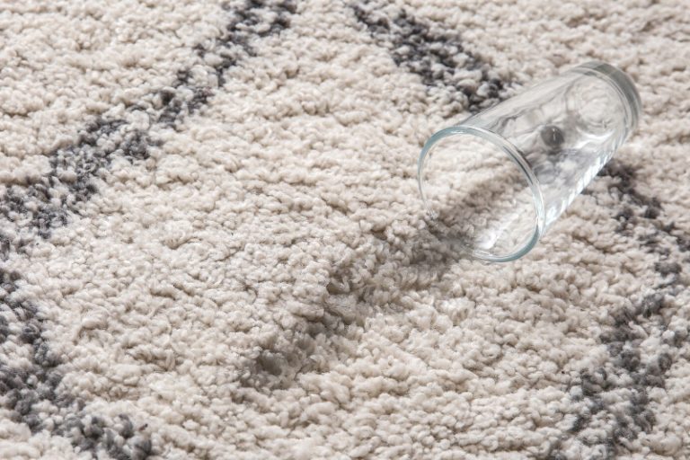 Damp Smelling Carpet Causes and Solutions