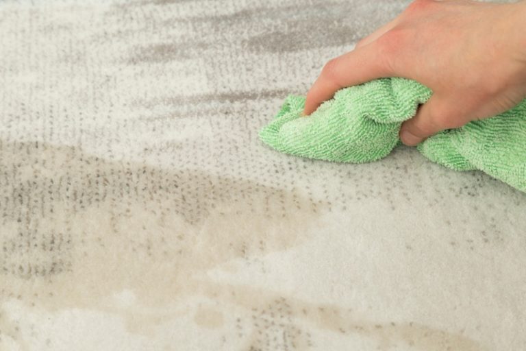 Curated visual reference: Gallery Detail: How To Clean Cat Pee Off A Carpet
