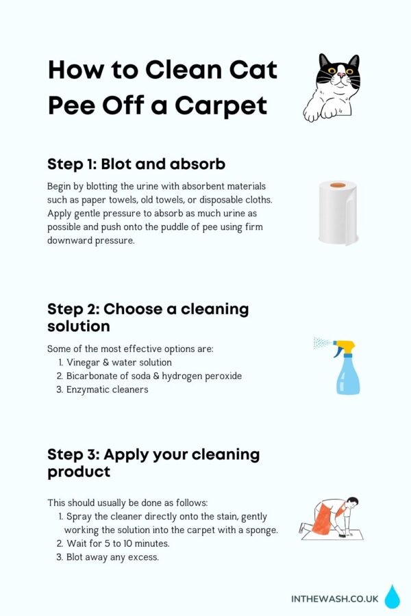 How to Clean Cat Pee Off a Carpet