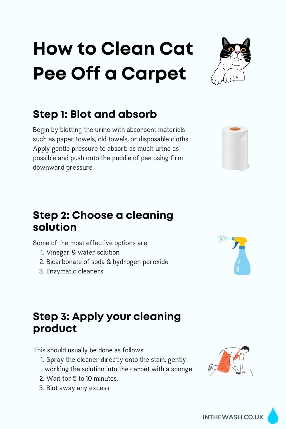 How to clean cat pee off a carpet