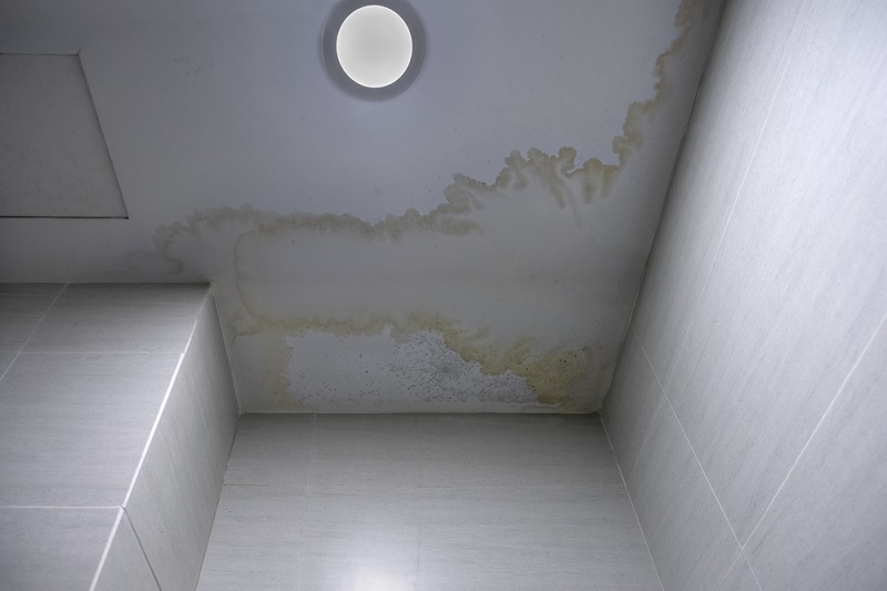 Mould on bathroom ceiling