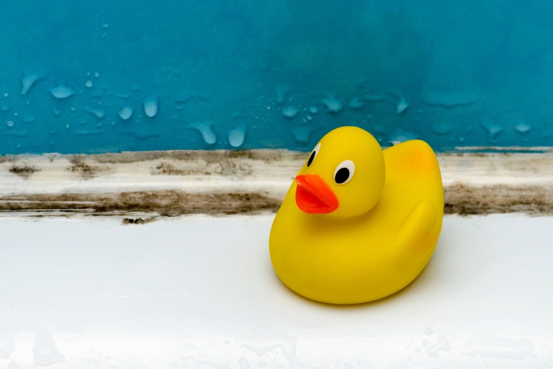 bath toy beside mouldy tile grout