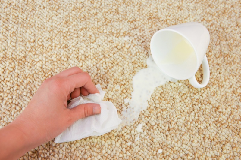 blot milk spill on carpet