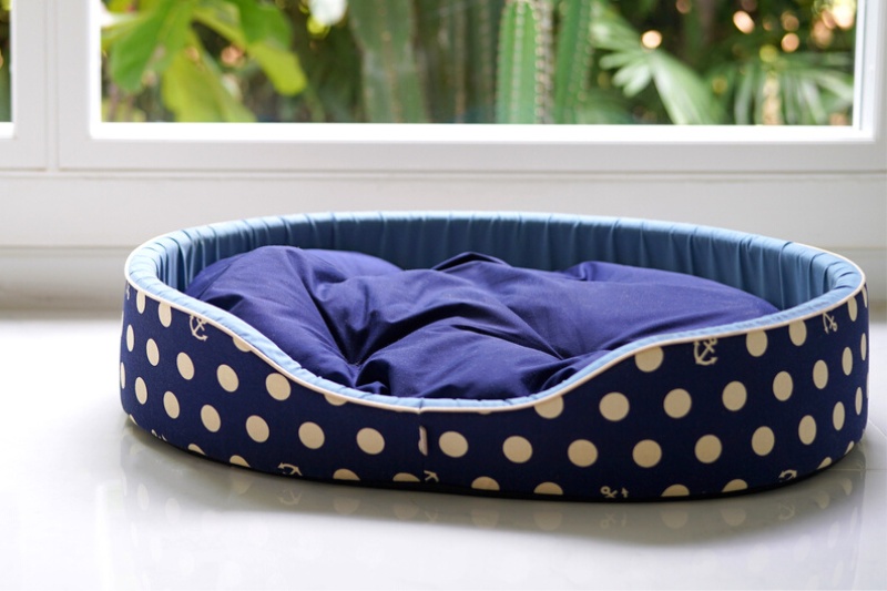 blue polka dot dog bed