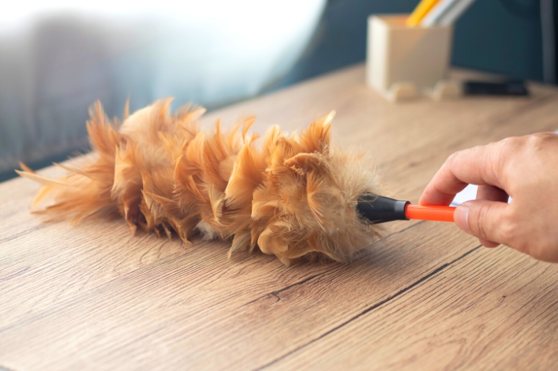 brown feather duster