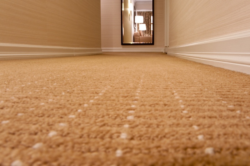 brown hallway carpet