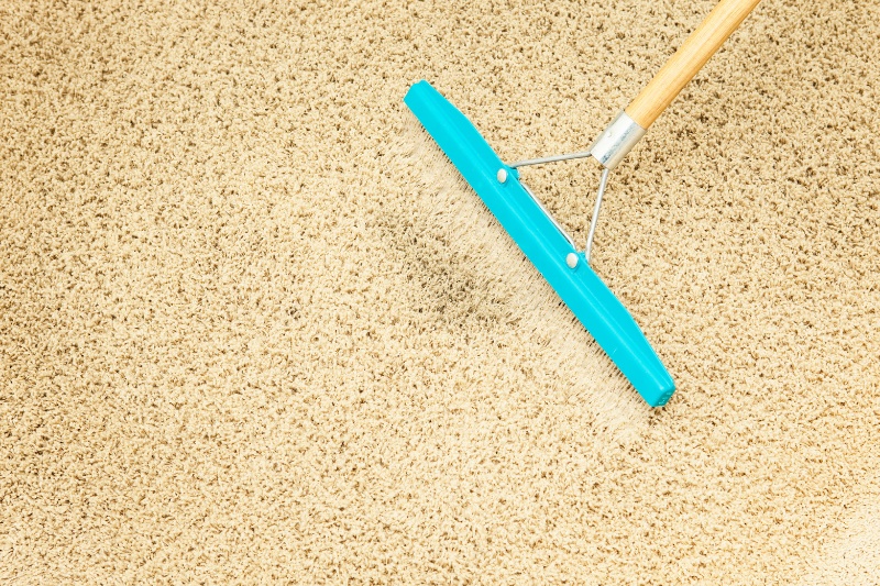 carpet rake