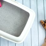 cat litter box