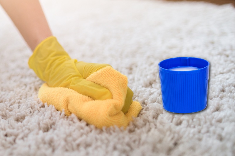 clean carpet with liquid laundry detergent