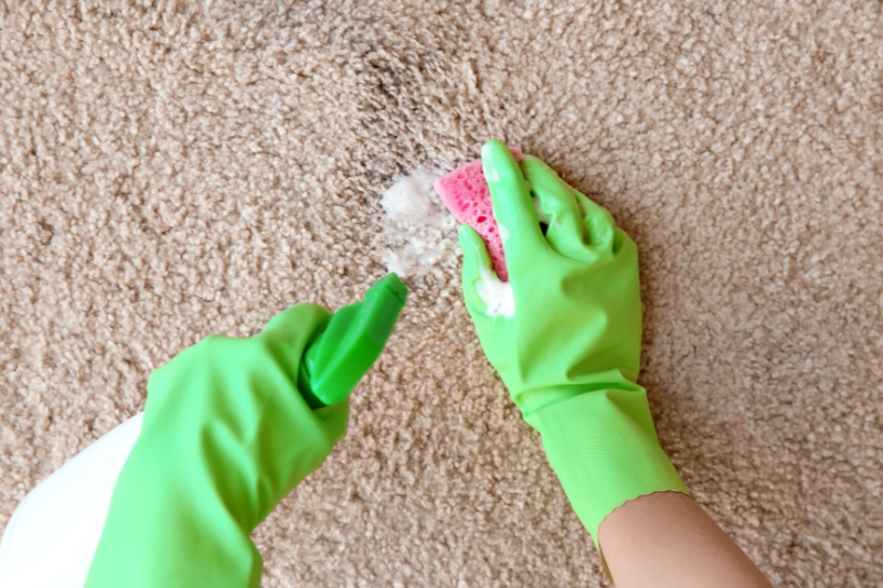 cleaning spray and sponge on carpet