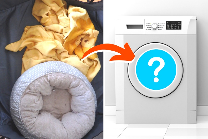dog bed and blankets in washing machine