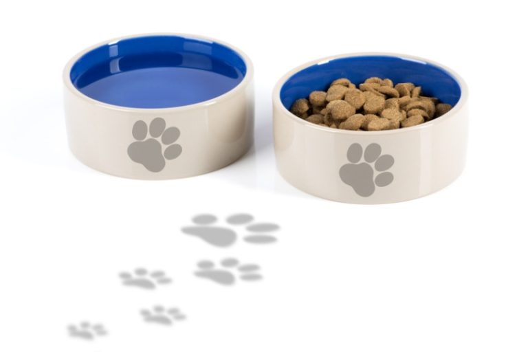 How to Clean Dog Bowls