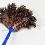 feather duster at ceiling