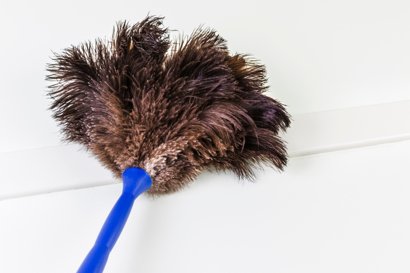 https://inthewash.co.uk/wp-content/uploads/2023/08/feather-duster-at-ceiling.jpg