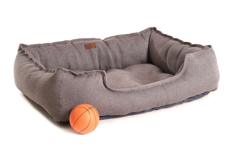 gray dog bed and ball