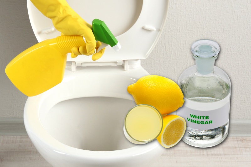 lemon juice and vinegar spray solution on toilet