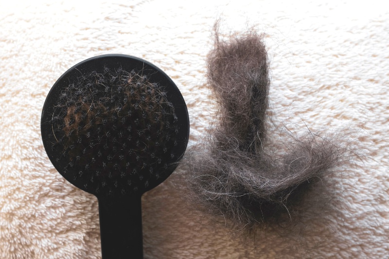 pet brush and clump of pet hair on carpet