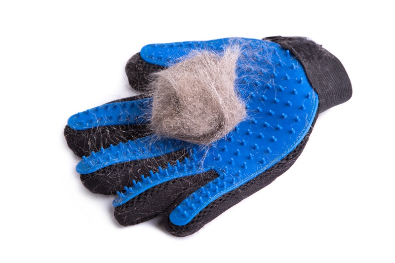 pet grooming glove