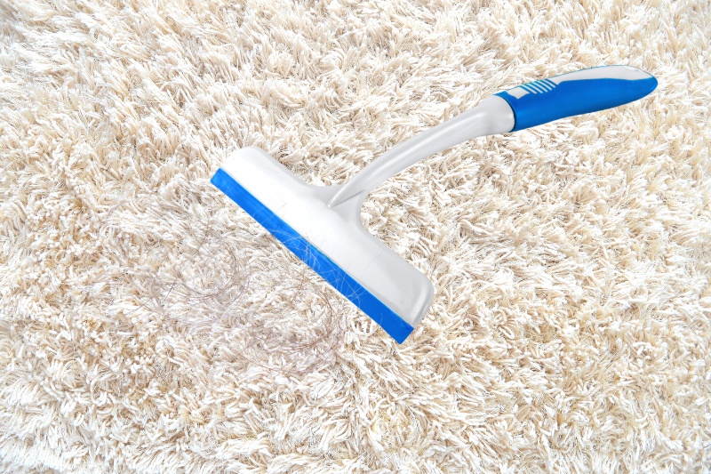 squeegee on carpet