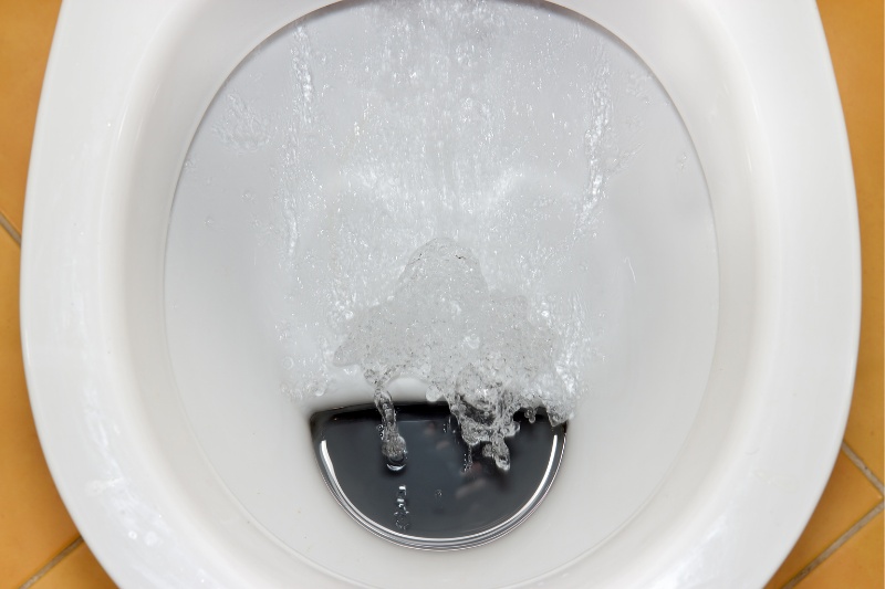 toilet bowl with water
