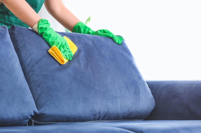 wiping sofa with cloth