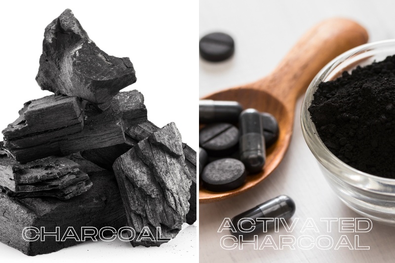 Charcoal vs. Activated Charcoal